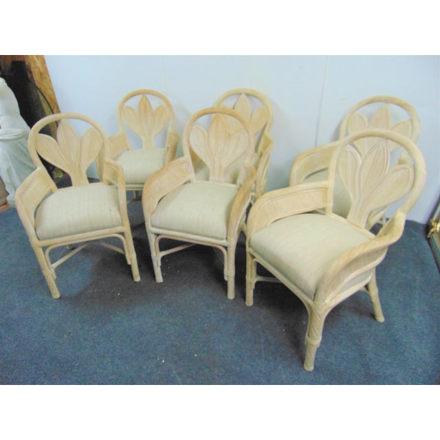 white wash rattan dining chairs
