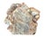 Brown Natural Petrified Wood Specimen. #1 For Sale - Image 8 of 11