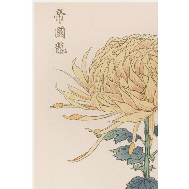 A refined example of late 19th-century Japanese botanical illustration, this vintage Japanese botanical art print...