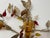 Italian Murano Glass and Florentine Tole Wall Sculpture by Jordan, 1950s For Sale - Image 11 of 15