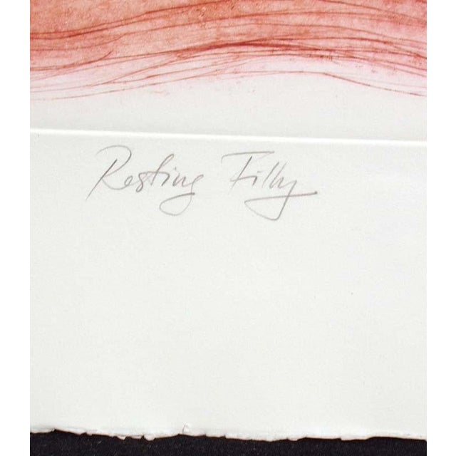 William Papas "Resting Filly" Hand Signed Art Color Etching Horse Equine, For Sale - Image 4 of 5