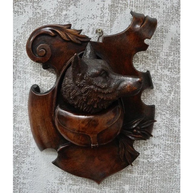 Antique Black Forest Trophy Wall Plaques, 1800s, Set of 2 For Sale - Image 10 of 11