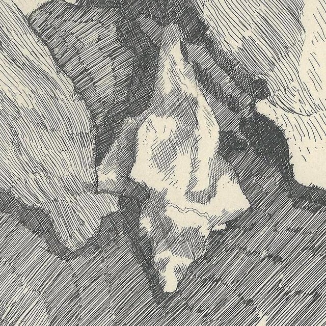 Giorgio Morandi, Still Life with Shells, 1930-1957, Lithograph For Sale - Image 4 of 7