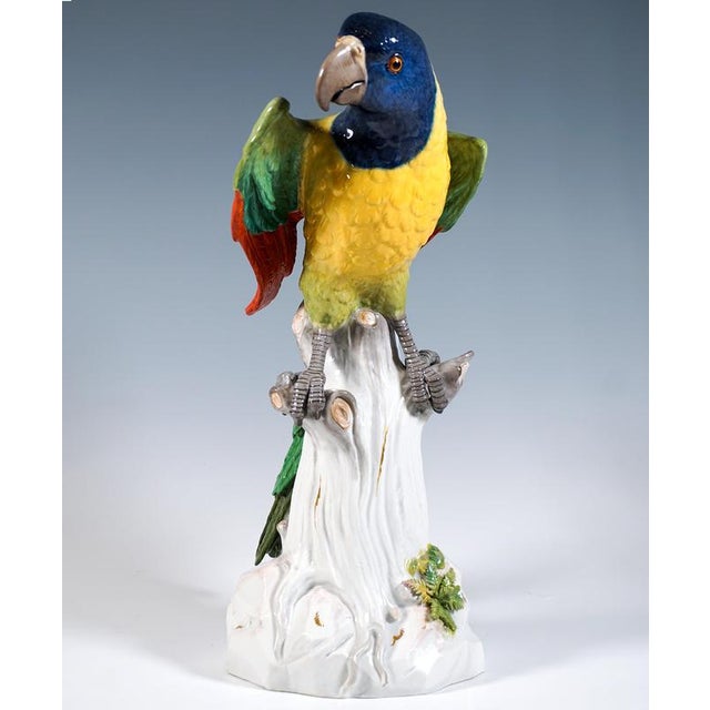 Baroque Large Parrot on a Tree Trunk by J.J. Kaendler for Meissen, 1860 For Sale - Image 3 of 9