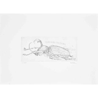 Sergio Barletta, Mexican Beetle, Etching, 1970s For Sale