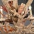 1990s Coastal Grand French Hand-Crafted Grotto Nautical Multi-Stem Coral Shell Chandelier For Sale - Image 13 of 16
