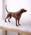 Modern Antique Copper Finish Metal Dog Sculpture For Sale - Image 3 of 11
