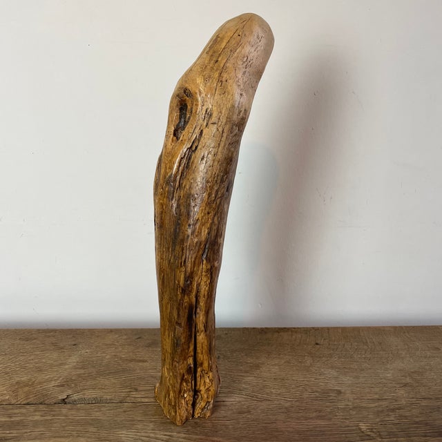 Folk Art Naïve Mary Sculpture in Carved Root Wood, 1800s For Sale - Image 5 of 10