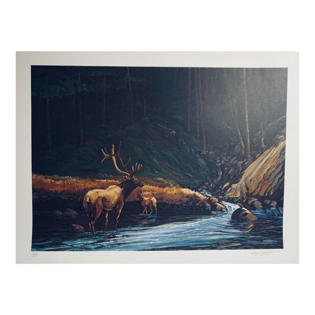 1977 "The Old Bull" Wildlife Lithograph Numbered 253/500 by Bill Elliott For Sale