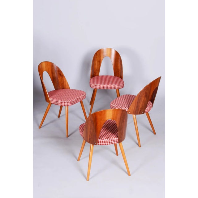 Mid-Century Dining Chairs attributed to Antonín Šuman in Beech & Walnut, Czech, 1950s, Set of 4 For Sale - Image 10 of 11