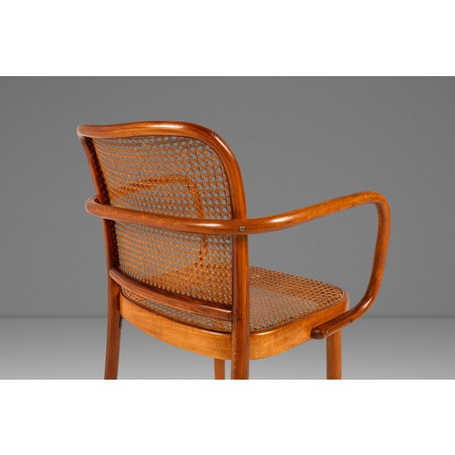 Mid-Century Modern Bentwood Model 811 "Prague" Armchair by Josef Frank Josef Hoffmann for Stendig, Czechoslovakia, C. 1960s For Sale - Image 10 of 18