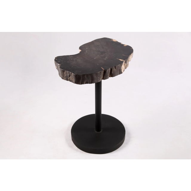 Contemporary Living Edge Petrified Wood Top W Black Metal Stand Accent Table or Side Table 54 For Sale - Image 3 of 5