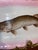 Antique Fish Platter ServeWare . Victorian Porcelain Fish Platter With a Hand-Painted Muskellunge, Circa 1891. 24.5” For Sale - Image 4 of 12