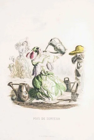 Pois de Senteur - Les Fleurs Animées Vol. - Lithograph by J.J. Grandville - 1847 1847