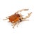 Late 19th Century Victorian 4.40 Carat Citrine 18k Yellow Gold Stag Beetle Brooch For Sale - Image 4 of 6