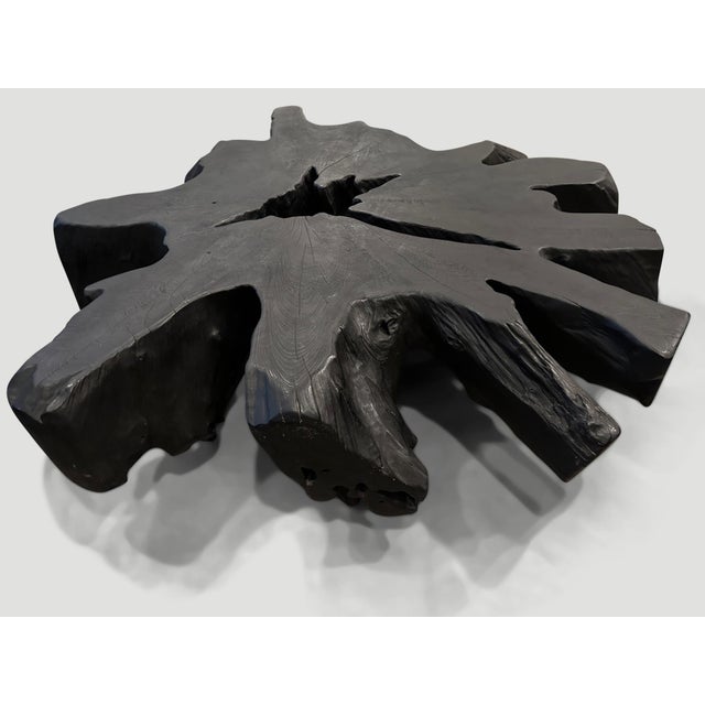 Andrianna Shamaris Impressive Charred Teak Wood Coffee Table For Sale - Image 4 of 6