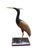 Crane Heron in Marble Mosaic, 1950s For Sale - Image 17 of 17