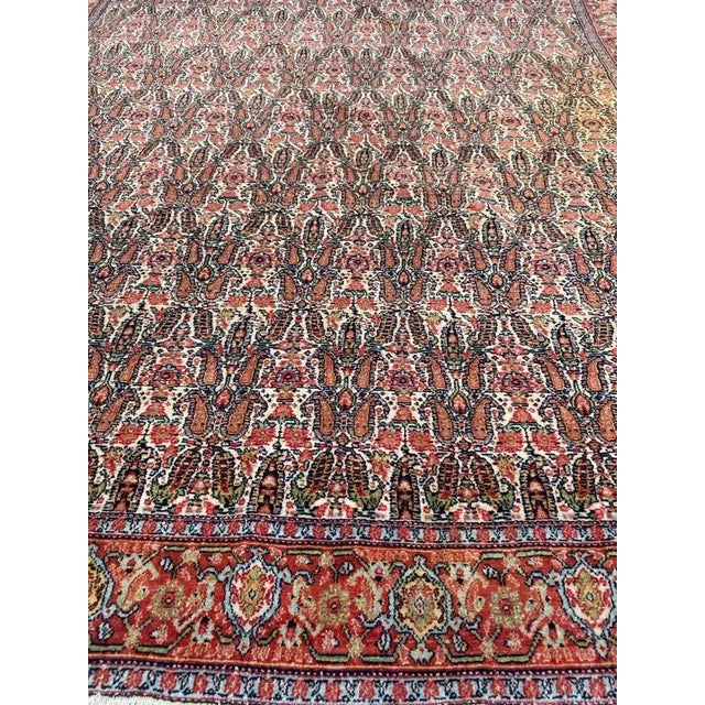Kurdish Senneh Rug For Sale - Image 15 of 18