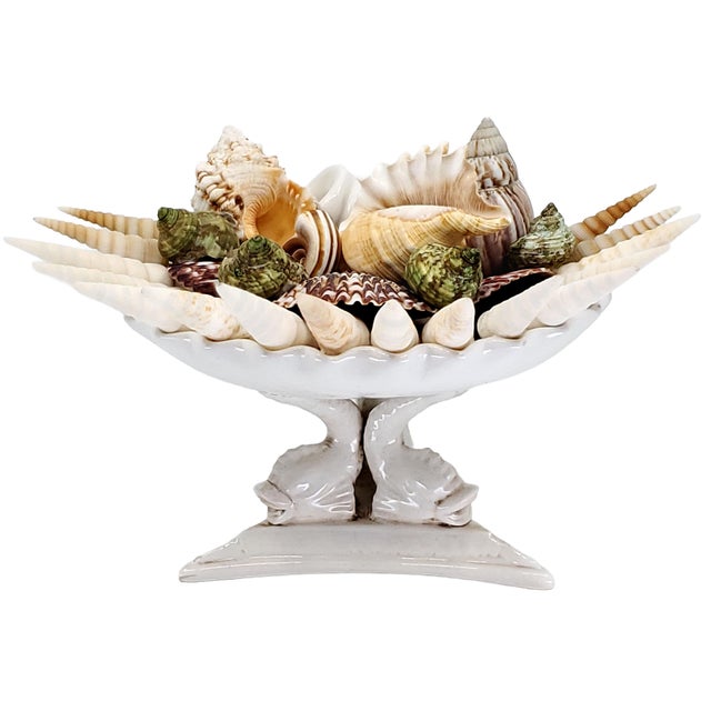 1960s Bowl Seashells Shells For Sale - Image 5 of 14