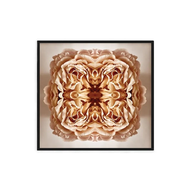 Paper "Ancien" Contemporary Original Op Art Botanical Print by Erin Derby For Sale - Image 7 of 8