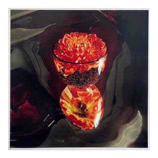 Peter C. Jones 1, Floating, Flowers, Large Format Photo 24X20 Color Photograph Beach House, 2004 For Sale