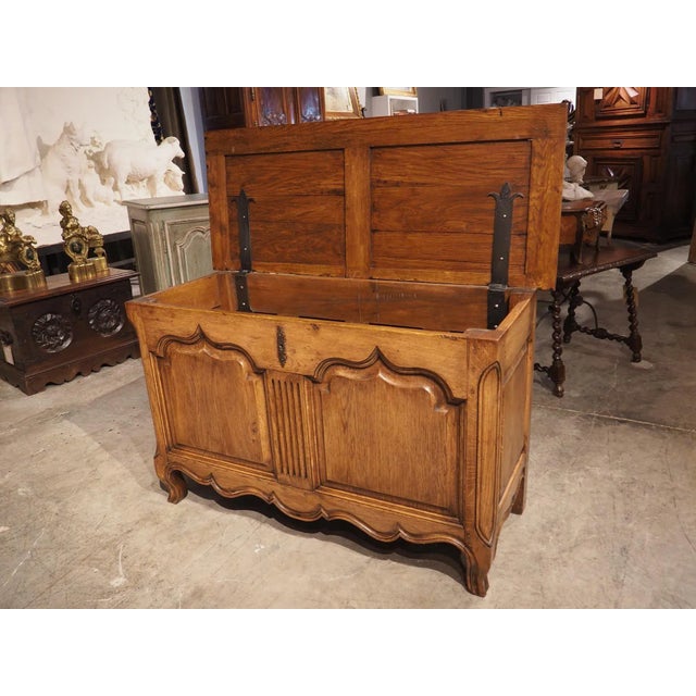 French Carved Oak Coffre Chest or Trunk With Shaped Legs, 20th Century For Sale In Dallas - Image 6 of 13