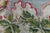 Antique Bessarabian Botanical Rug Doris Leslie Blau For Sale - Image 10 of 10