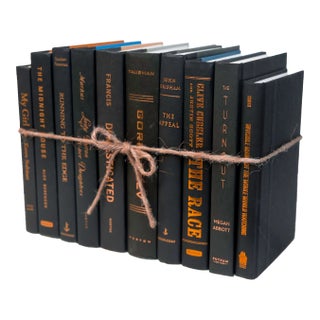 Decorative Books - Onyx and Copper Book Bundle - 1 Foot of Black Books For Sale