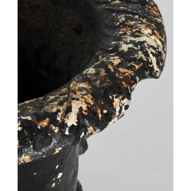 Metal Pair of 19th Century Cast Iron Planters With Rope Designed Handles For Sale - Image 7 of 10