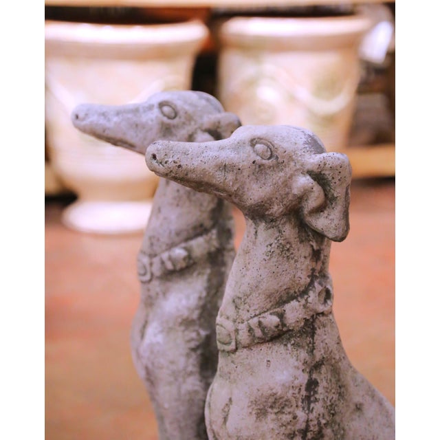 Pair of Vintage French Outdoor Weathered Carved Stone Greyhound Dog Sculptures For Sale - Image 4 of 9