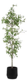 Example of Transitional Faux Trees