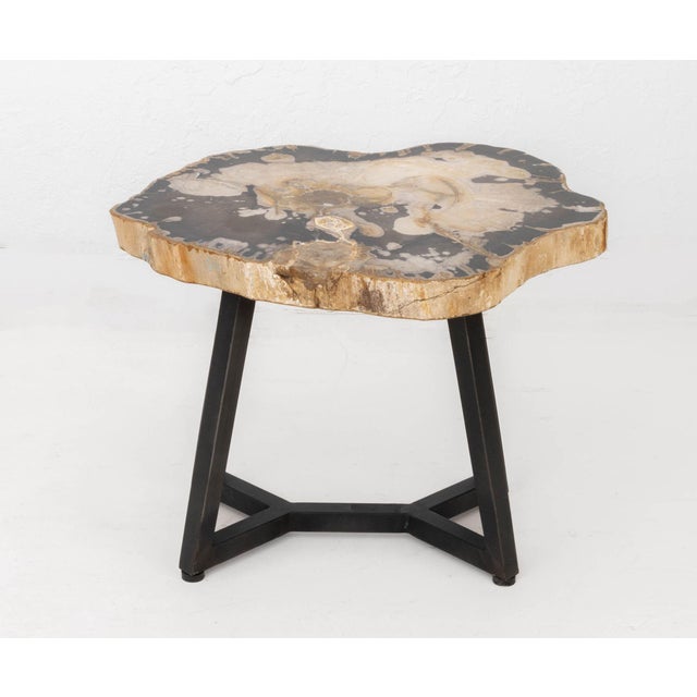 Contemporary Resin and Petrified Wood Live Edge Side Table, mounted on gray patinated steel base. 18.5" H x 24" W x 20.25"...
