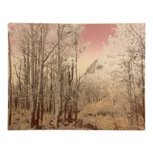Ted Thomas "Silver Lining I" Hand Signed & Numbered Fine Art Serigraph of Trees