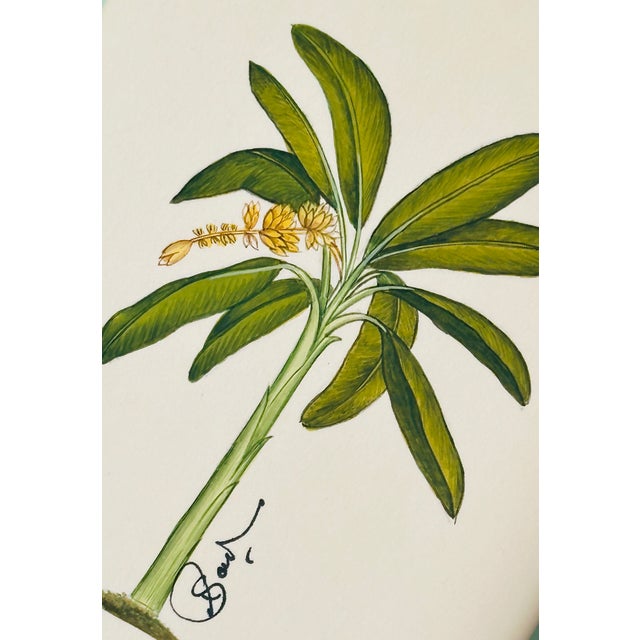 Hand-painted by our master artist using acrylic paints and natural pigments, this beautiful banana palm captures the lush...