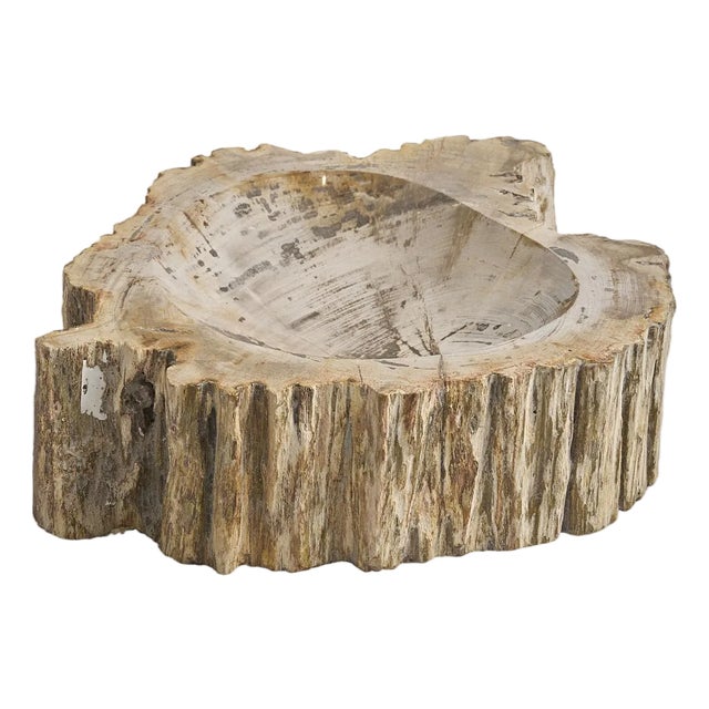 Maitland-Smith Brown Petrified Bowl For Sale