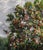 Early 21st Century Yggdrasil by Robin Hextrum | Oil on canvas Tree with animals and flowers in a landscape setting For Sale - Image 5 of 5