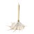 Extra Large Coastal Heirloom Spider Conch Shell Candlestick Holder | Brass Candle Cup | Organic Modern Coastal Decor For Sale