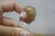 Glass Vintage Iridescent Art Glass Pulled Feather Perfume Bottle & Applicator 5" For Sale - Image 7 of 15
