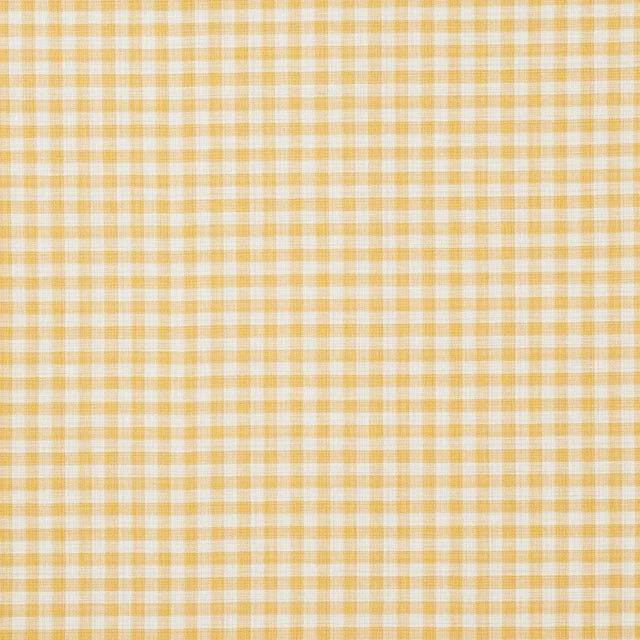 Martina Plaid Indoor/Outdoor is a high-performance homespun gingham plaid with a delicate strié effect. Equally suited for...