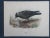 This 19th century hand colored stone lithograph is one of several listings depicting different varieties of birds. Printed...