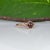 Metal 1.4Ct Red Spinel Ring With Pink Sapphire Accents: Solid 14k Gold, Size 6.75 For Sale - Image 7 of 9