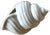 1980s Coastal White Ceramic Seashell Napkin Rings - Set of Six For Sale In Jacksonville, FL - Image 6 of 9
