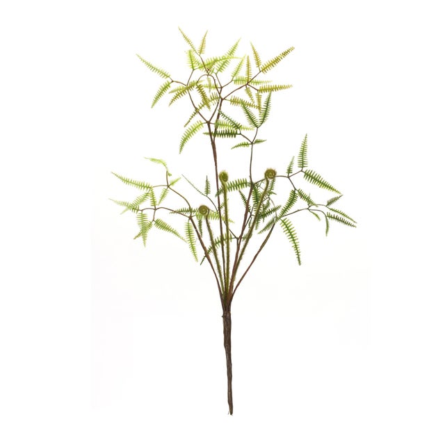 Rustic Mini Fern Foliage Bush with Sprout Accent (Set of 6) For Sale - Image 3 of 3