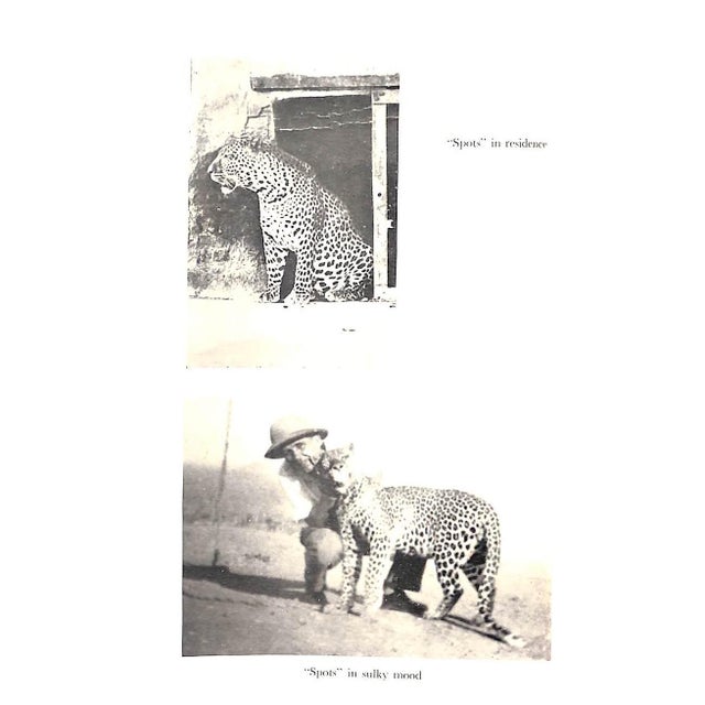 "African Adventures" 1957 Burger, John F. For Sale In New York - Image 6 of 7