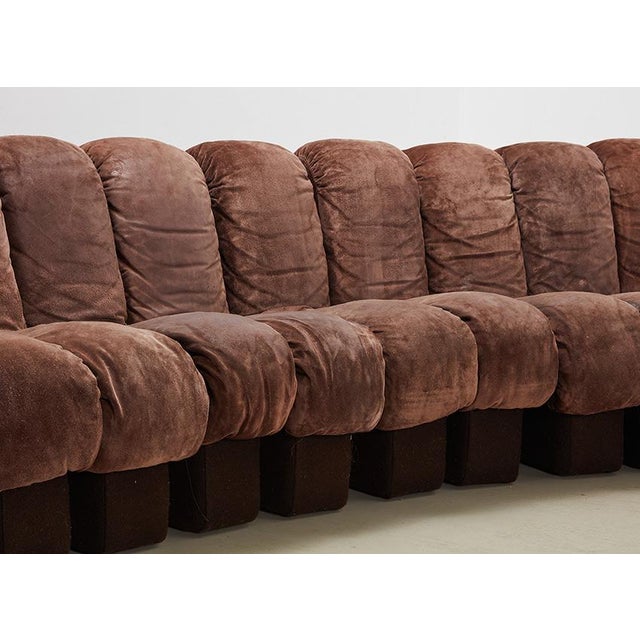 DS-600 Snake Sofa by Ueli Berger for de Sede, Switzerland, 1970s, Set of 22 For Sale - Image 4 of 15
