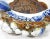 Antique 19th Century Japanese Porcelain Hirado Bowl With Crustaceans For Sale In Chicago - Image 6 of 9