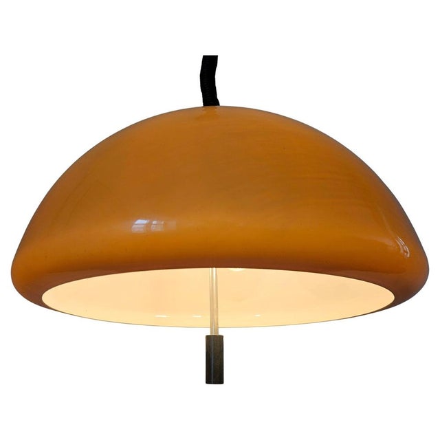 Mid-Century Pendant by Luigi Massoni for Guzzini, Italy, 1970s For Sale - Image 13 of 13