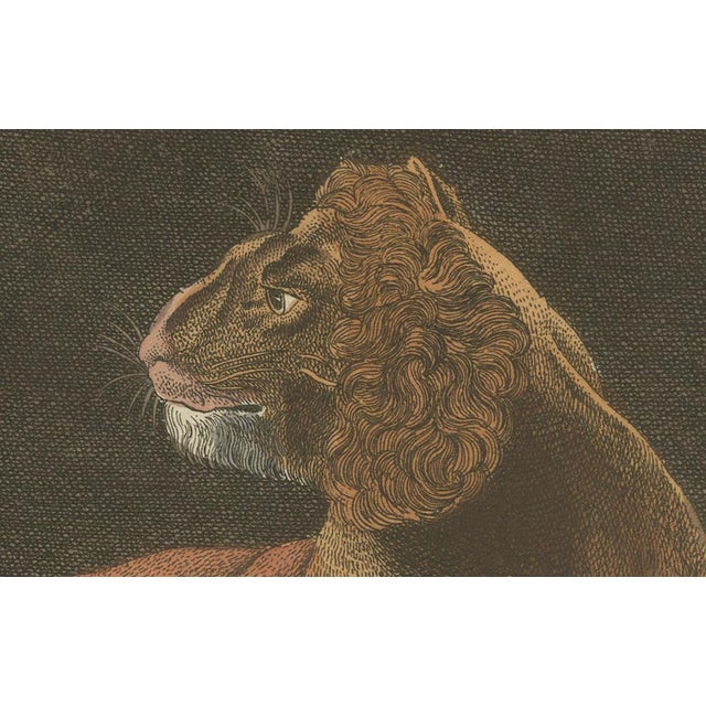 Bertuch, a Lioness and Her Cubs, 1810, Engraving For Sale - Image 4 of 9