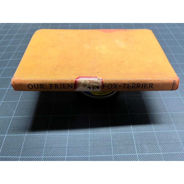 Paper 1933 Our Friend the Fox Terrier Book For Sale - Image 7 of 7