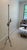 Antique Early 20th Century American Wrought Iron Bridge Arm Floor Lamp For Sale - Image 17 of 18